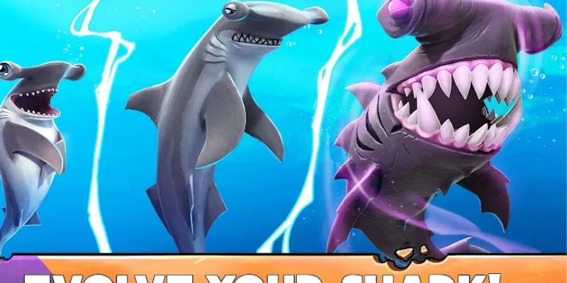 Cài đặt và trải nghiệm game Hungry Shark Heroes với các tính năng MOD APK mạnh mẽ.