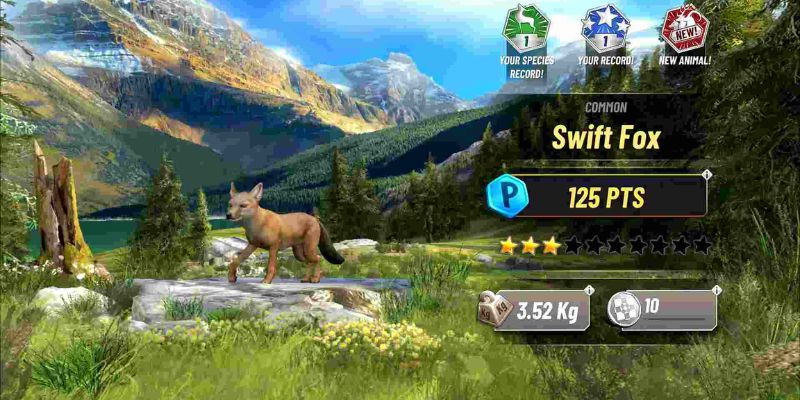 Hunting Clash weapons